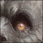 Crowdfundings – semaine 4